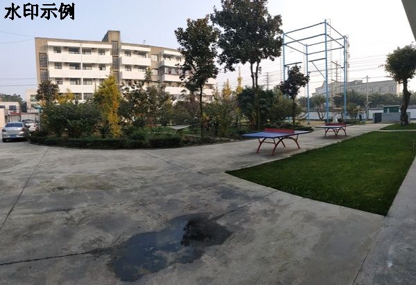 操场1
