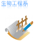 生物工程系专业设置